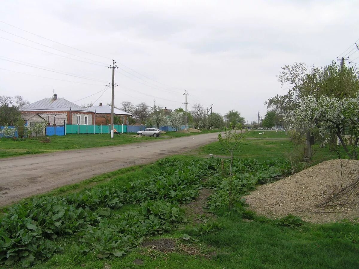 Хутор красный адыгея. Село унароково краснодарский край. Майкопский садовый центр клубный переулок 1/11. Хутор красный адыгея. Хутор красный адыгея.