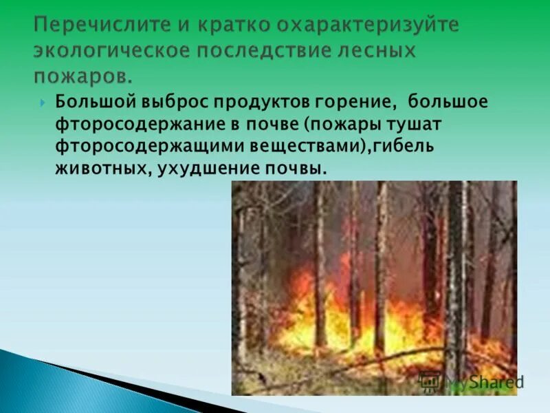 Последствия лесных пожаров кратко. Перечислите последствия лесных пожаров. Экологические последствия природных пожаров. Классы лесных пожаров по площади охваченной огнём. Что является последствием лесных пожаров.