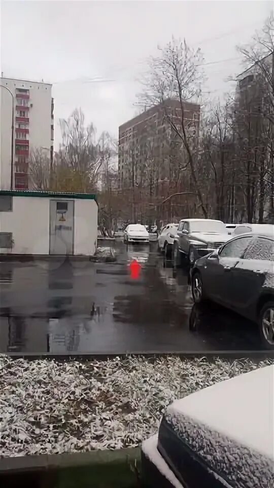 Аптека проезд шокальского. Шокальского 63. шокальского 53. москва проезд шокальского 53. проезд шокальского дом 26.