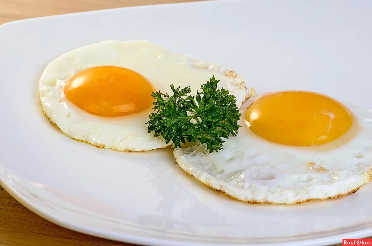 яйцо в культуре и искусстве. дискотека авария песня про яйца. яичница инь янь с хлебом. яичница разговаривает. дискотека авария песня про яйца.