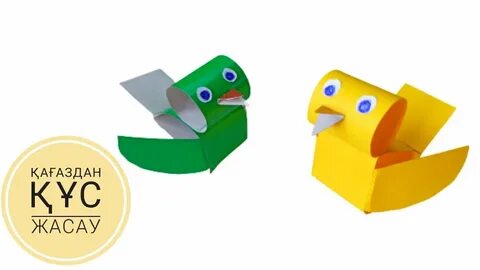 Мөлдір кискалар