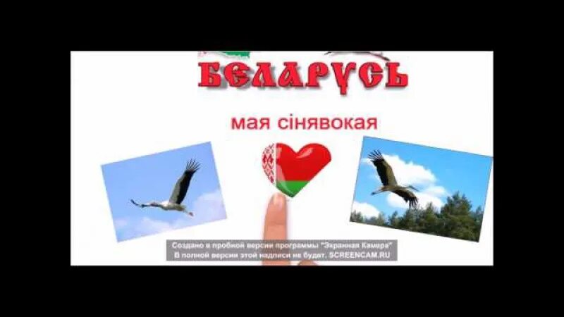 П. Гимн белоруссии слова. Молодость моя белоруссия слова. Песняры белоруссия текст. Беларусь моя синявокая текст.