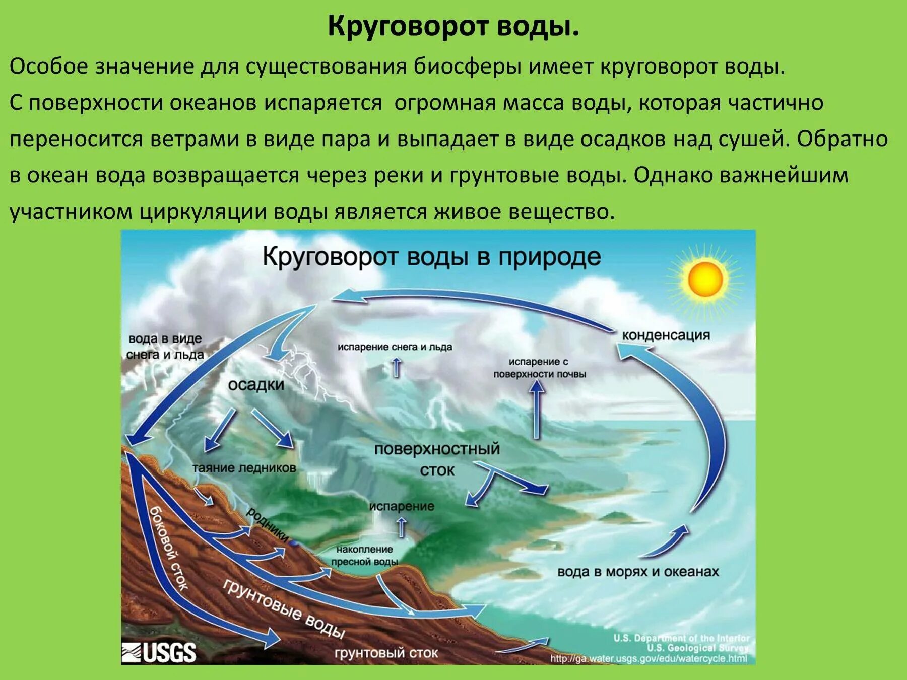 Какое значение круговорота воды. Мировой круговорот в природе 6 класс. Биосфера круговорот воды в биосфере. Гидрологический цикл круговорота воды. Круговорот воды в биосфере 6 класс география.