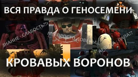 Почему кровавые вороны воруют