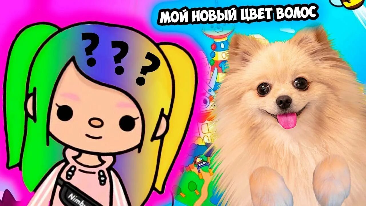 Собачку элис геймер. Пушистый геймер элис. собачка элис. канал пушистый геймер. канал пушистый геймер элис.