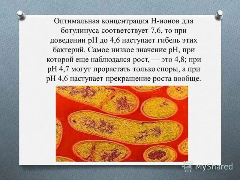 Влияние рн среды на микроорганизмы. Ph бактерий. Влияние рн среды на патогенные микроорганизмы. Ph бактерий. Ph волоса картинка.