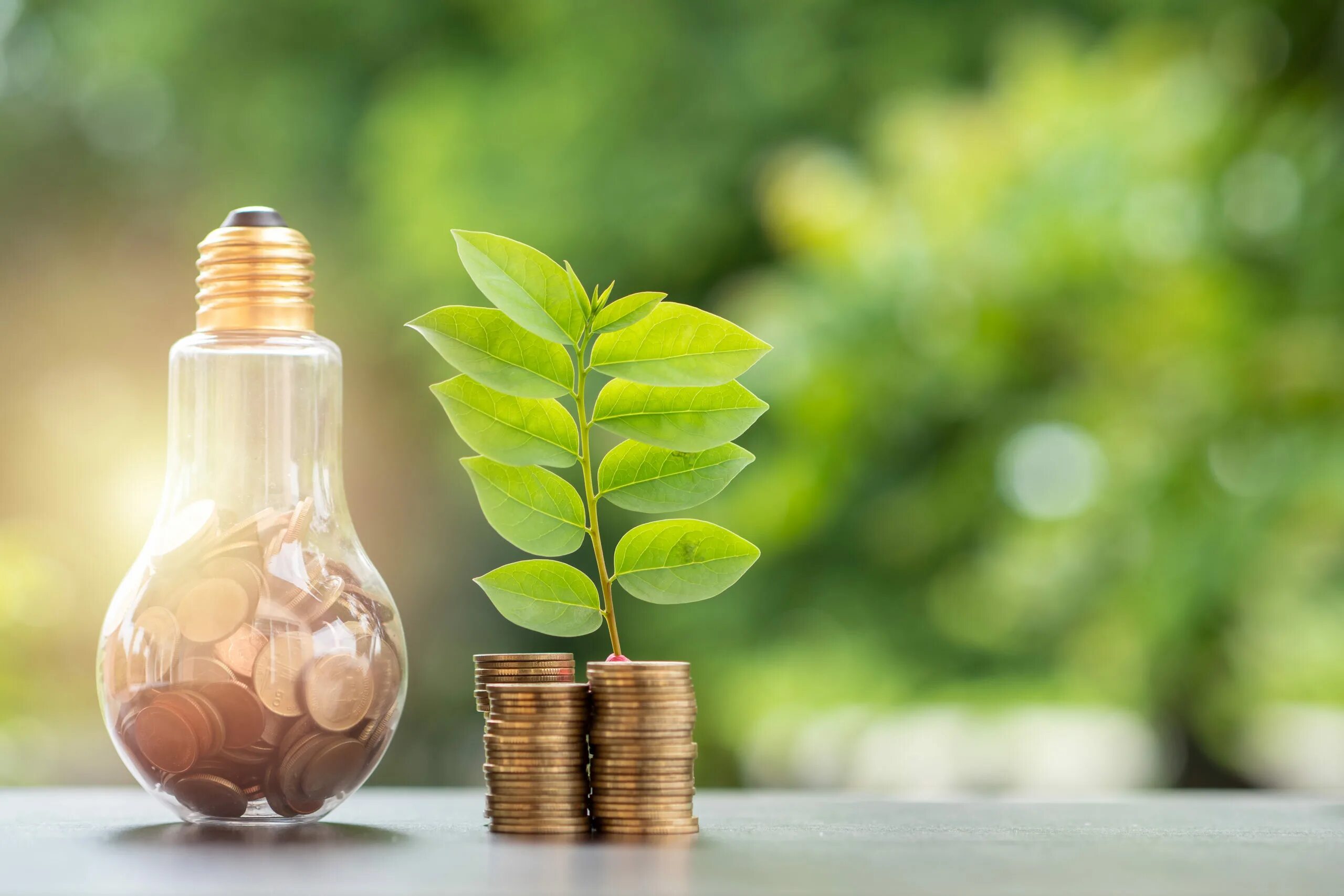 How can people save nature resources. Energy saving. энергосбережение эстетика. save energy. энергосбережение экологичность стоковое.