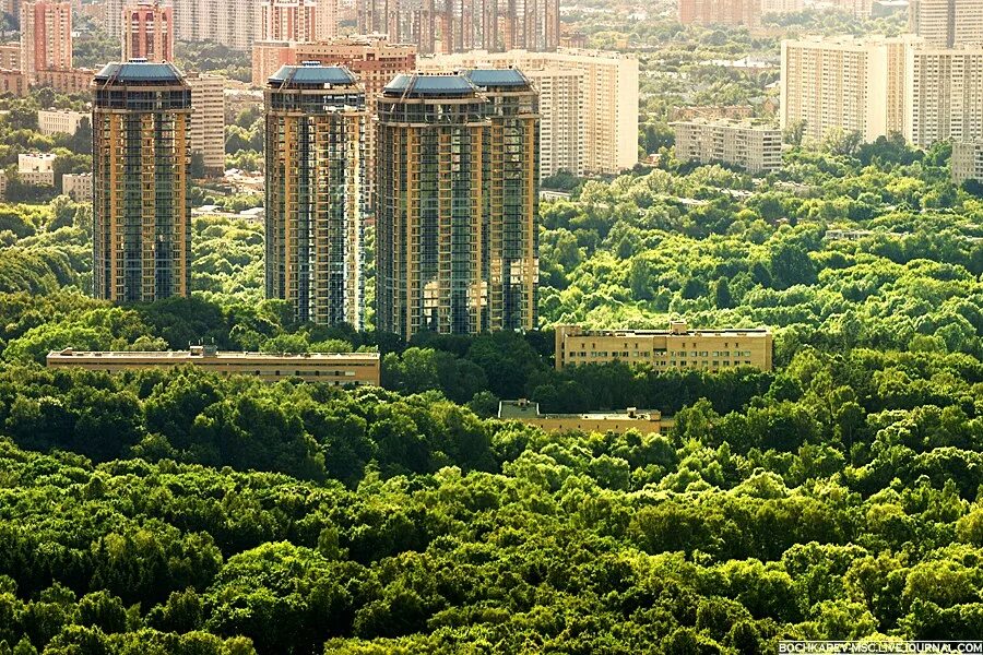 Зеленая Москва. Москва зеленый город. Москва в зелени. Москва самый зеленый город.