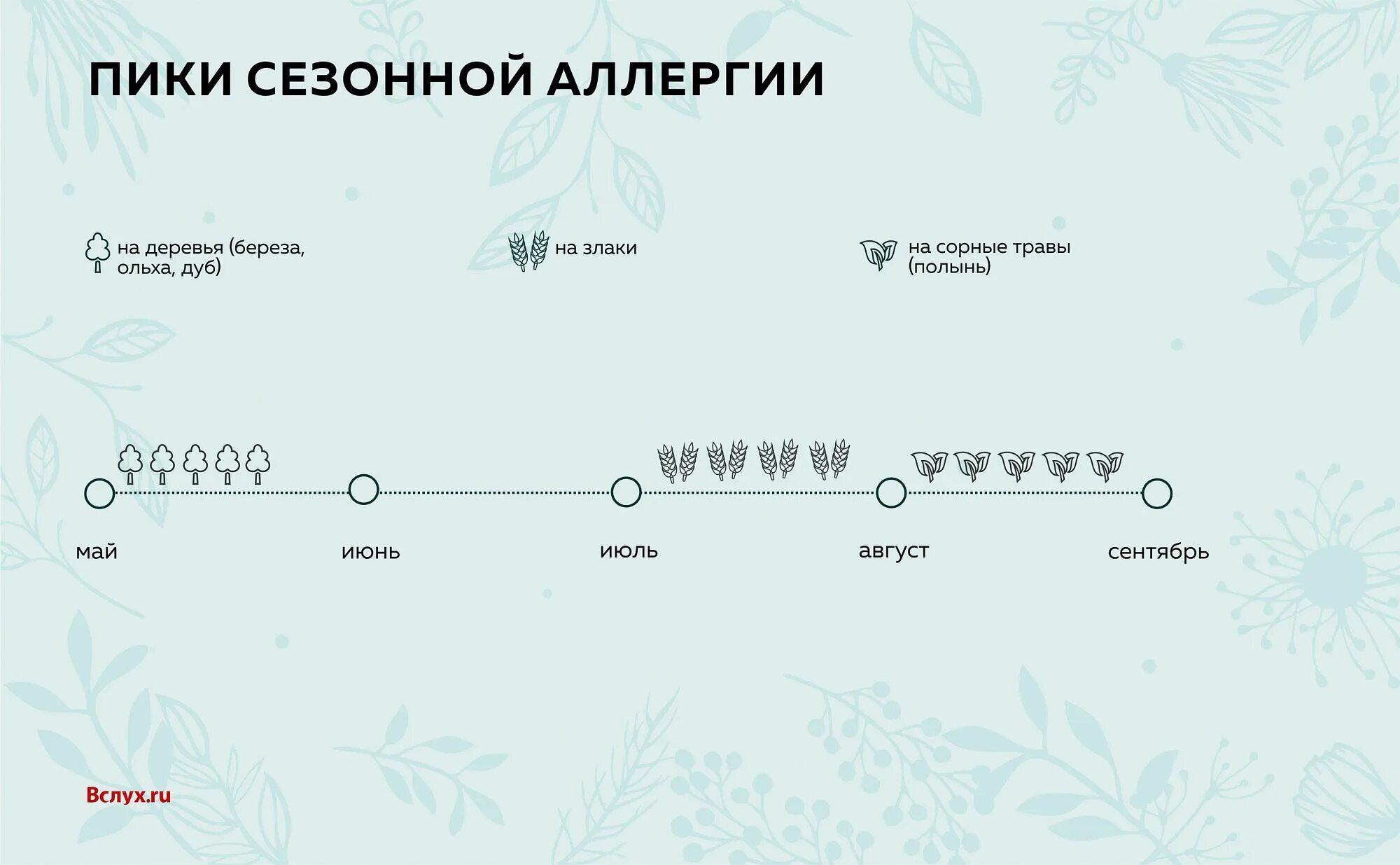 Карта березы аллергия. Карта пыльцы березы для аллергиков. Поллиноз на пыльцу березы карта. Карта березы поллиноз. Гисметео пыльца березы