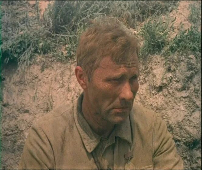 соловьёв юрий васильевич актёр. шукшин бурков они сражались за родину. василий шукшин в фильме они сражались за родину. василий шукшин тихий дон. василий шукшин они сражались за родину дублер.