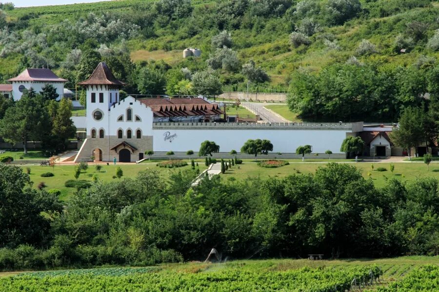 Первого в молдове. Молдавия Пуркары. Пуркари винодельня Молдавия. Село Пуркарь Молдова. Монастырь Пуркарь Молдова.