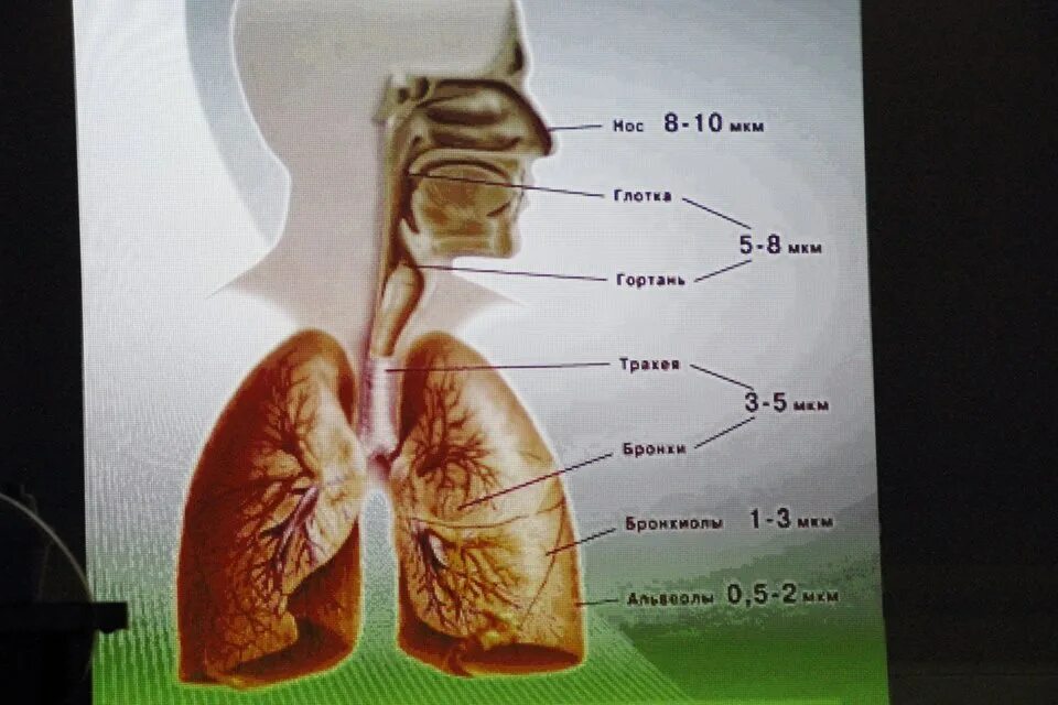 Врожденное заболевание муковисцидоз. Эпидемиология муковисцидоза. Муковисцидоз помощь. Инстаграм муковисцидоз. Профилактика муковисцидоза.