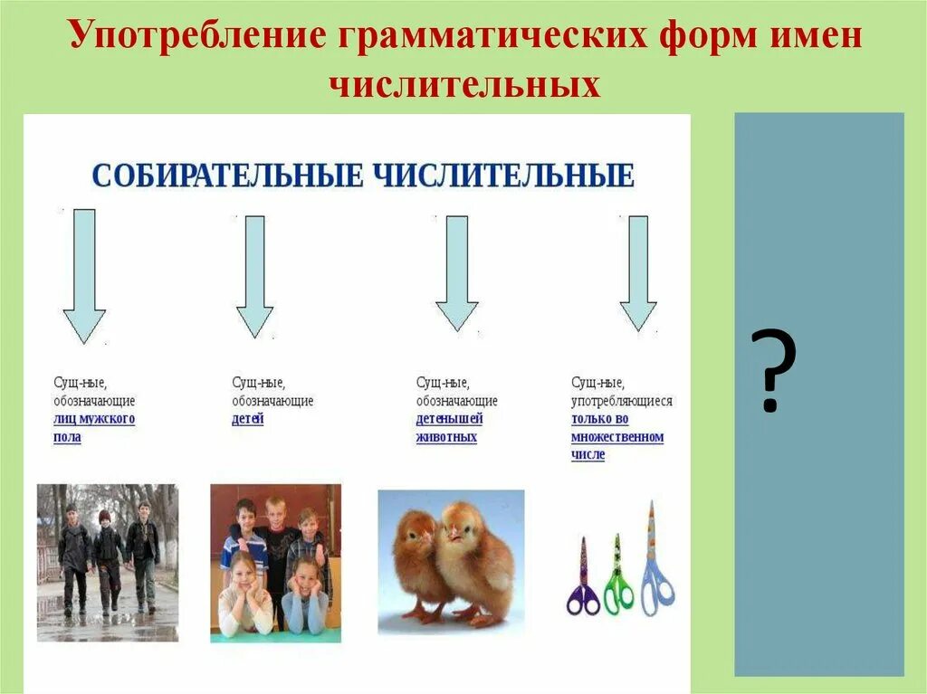 Урок нормы употребления собирательных числительных 6 класс. Числительные употребление. Собирательные числительные. Употребление грамматических форм имен числительных. Употребление собирательных числительных.