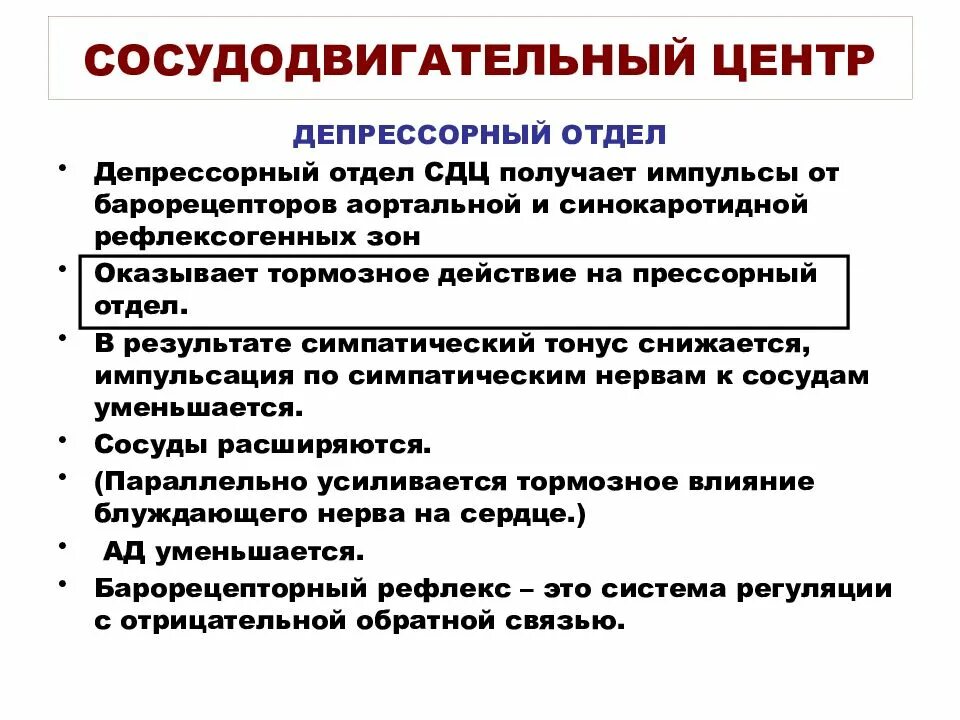 Сосудодвигательный центр в мозге. Функциональная организация сосудодвигательного центра. Сосудодвигательный центр его структура и функции. Структура сосудодвигательного центра. Прессорный и депрессорный отделы сосудодвигательного центра.