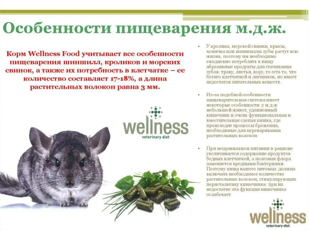 Какую траву давать крысам