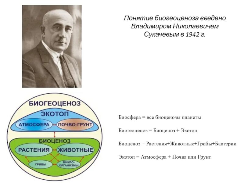 Термин биогеоценоз сукачев. Схема сукачева биогеоценоз. понятие биогеоценоз. биогеоценоз сукачев.