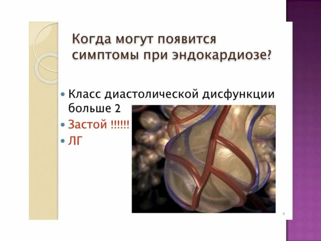 Дегенерация митрального клапана. Эндокардиоз митрального клапана. Классификация эндокардиоза. Миксоматозная дегенерация митрального клапана у собак. Эндокардиоз у собак классификация.