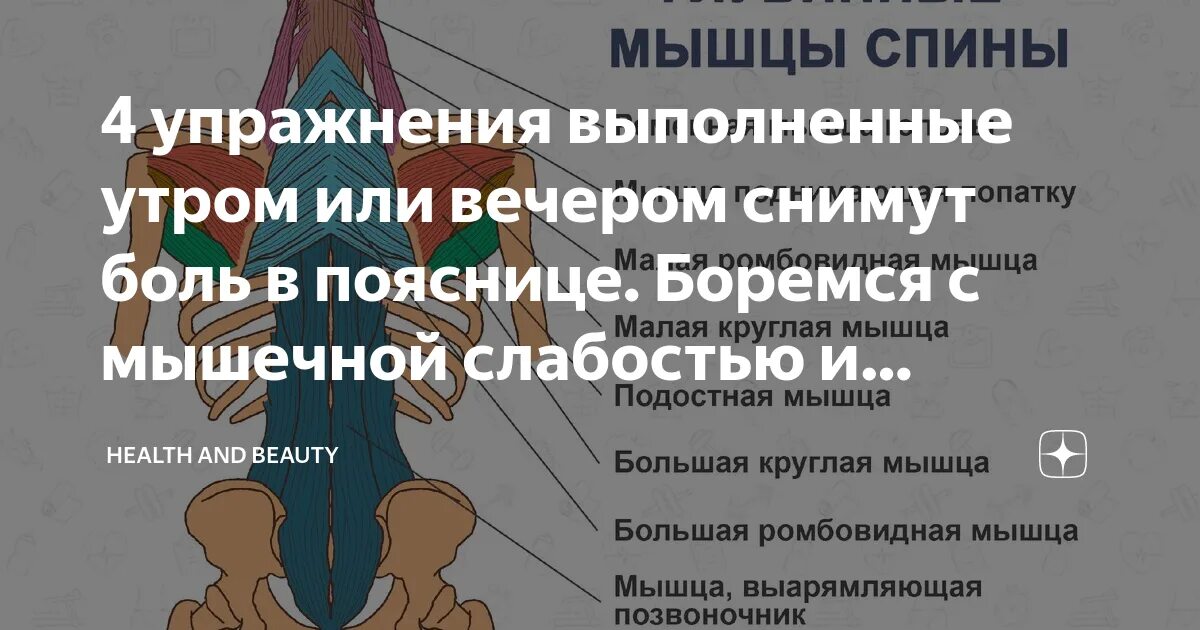 Болят почки или спина как определить. Как понять болит почка или мышца спины. Как определить болят почки или мышцы спины. Болят почки или спина. Как отличить боль в почках от боли в пояснице.