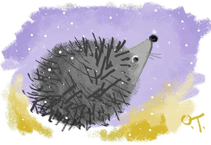 Снежинка еж фото. Зима для ёжика. Ежик фото. Ежик с кудрявыми иголками. Снежинки ежик.