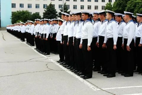 Институты г анапа