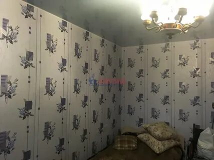 Квартира волховский