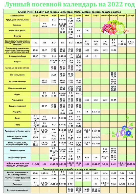 Лунный посевной календарь. Лунный посевной календарь на 2022. Лунный посевной календарь на 2022 год. Лунный посевной календарь на 2022 таблица. Посевной календарь на 2024 год алтайский край