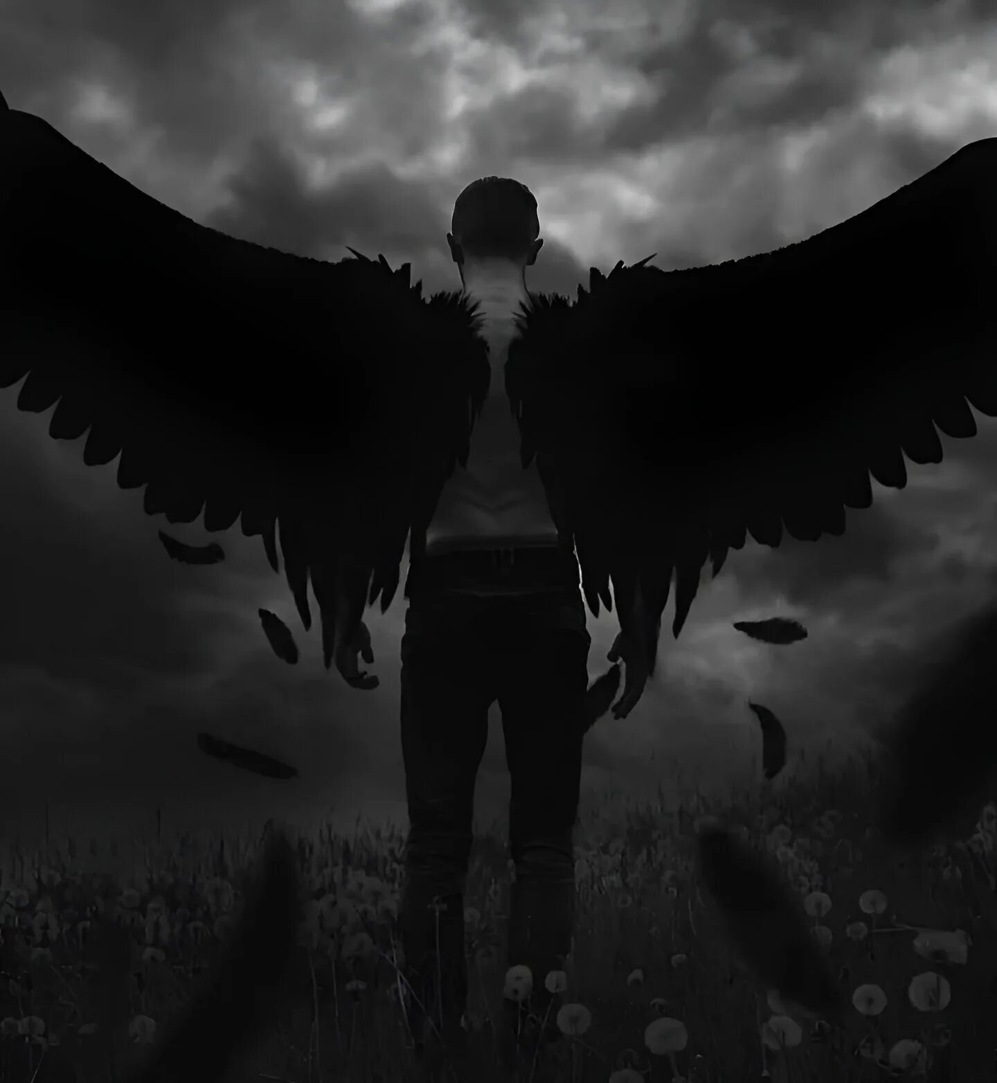 Ангел мужчина спиной. Падший ангел. Черный ангел. Человек с крыльями. Человек с черными крыльями.