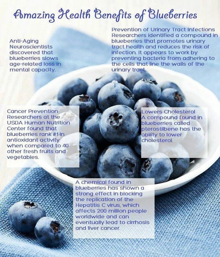 Amazing Health. Blueberry ашка Израиле. Blueberry benefits amazing benefits for overall Health. Must have Blueberry.