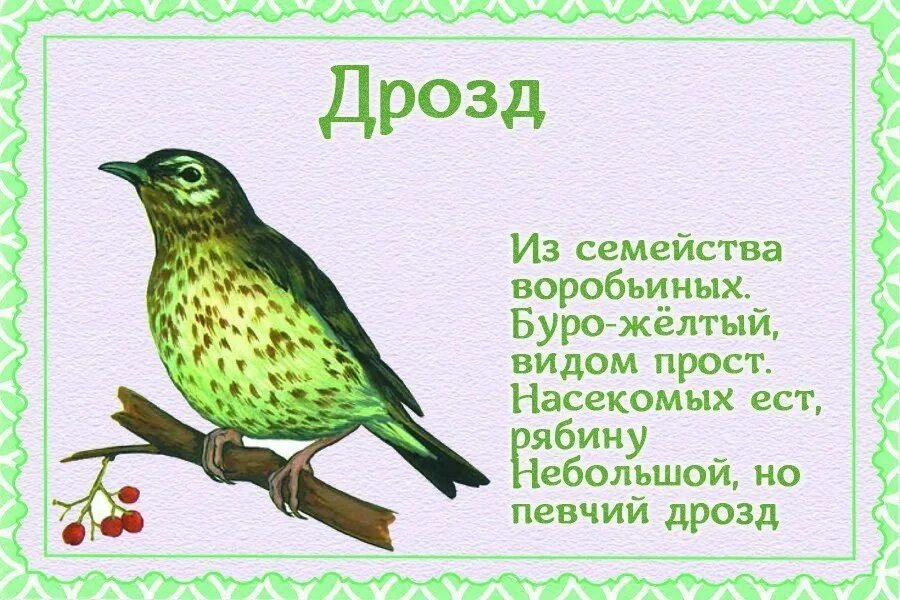 Стихи про птиц для детей. Стихи про птиц для малышей. Стихи про перелетных птиц для детей. Стих о пнрелетных птицах.