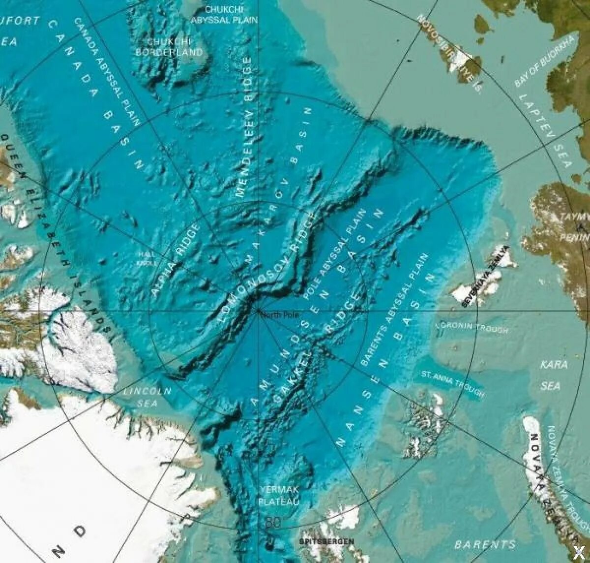 Хребет Ломоносова Арктика. Хребет Ломоносова в Северном Ледовитом океане. Хребты Ломоносова и Менделеева. Хребет Ломоносова в Северном Ледовитом океане на карте. На дне ледовитого океана