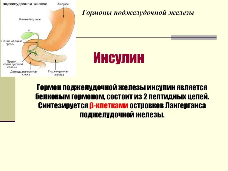 Поджелудочная железа вырабатывает инсулин схема. Гормональные препараты поджелудочной железы классификация. Гормон поджелудочной железы инсулин функции. Гормон инсулин вырабатывается в поджелудочной железе.