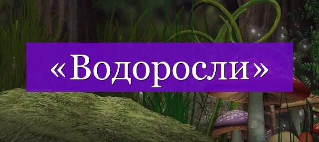 Слова из слова водоросль ответы. Слово водоросли. Водоросли проверочное слово. Водоросли проверяемое слово. Водоросли однокоренные слова.