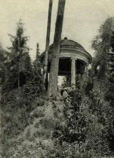 Дачи александровой