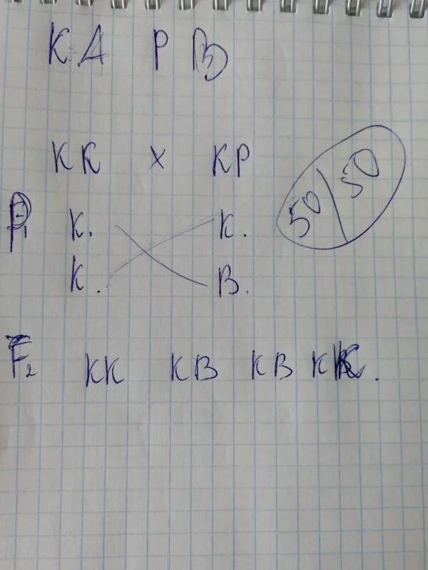 Какое потомство получится при скрещивании гомозиготной
