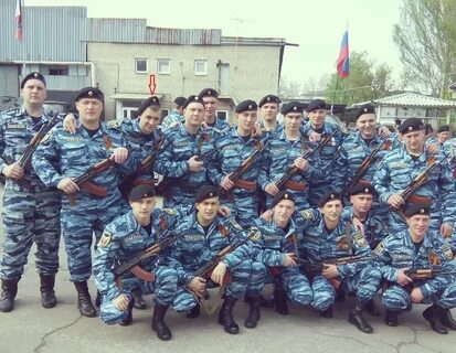 Омон беркут