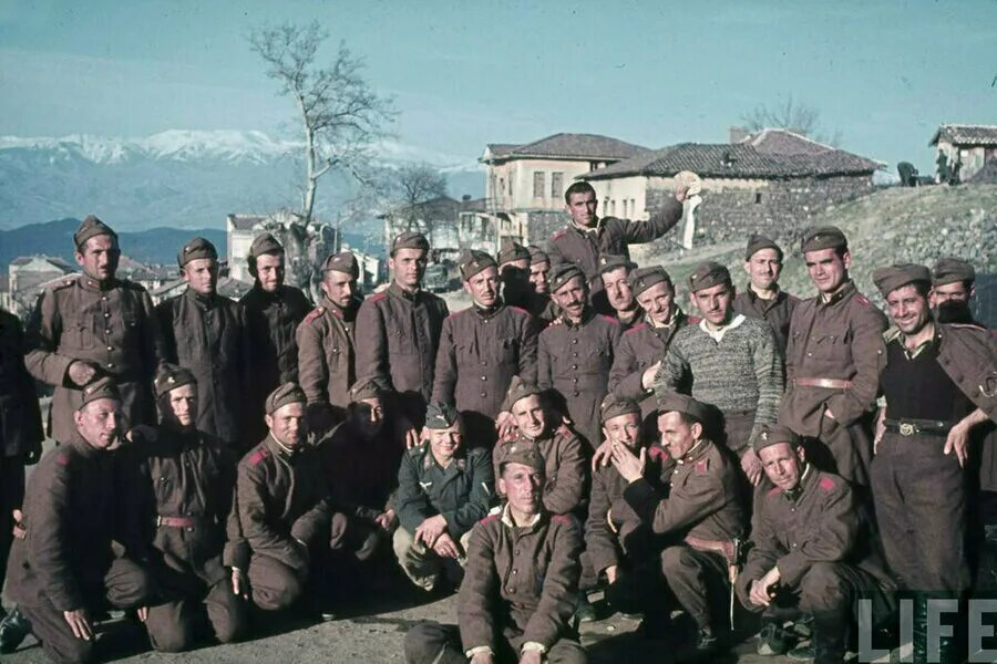 Бригада сс. Болгарская противотанковая бригада СС. Болгарская армия 1941. Болгария во 2 мировой войне. Болгары на стороне Гитлера.