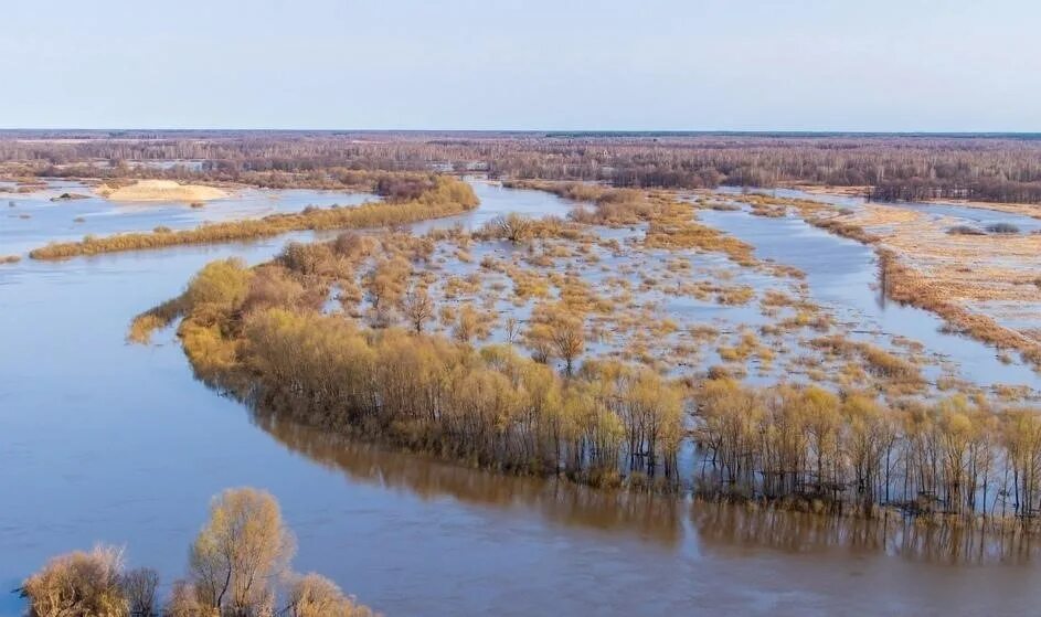Чем равнинная река отличается от паводка. Река Лена половодье. Разлив Клязьмы. Разлив Клязьмы во Владимире 2022.