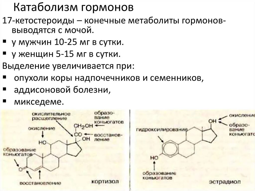 Катаболизм гормонов. Катаболизм стероидных гормонов. Механизм катаболизма стероидных гормонов. 17 Кетостероиды. Гормона расширяющие