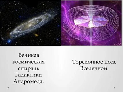 Торсионные поля что это