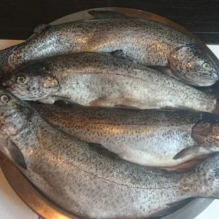 Форель из карелии отзывы