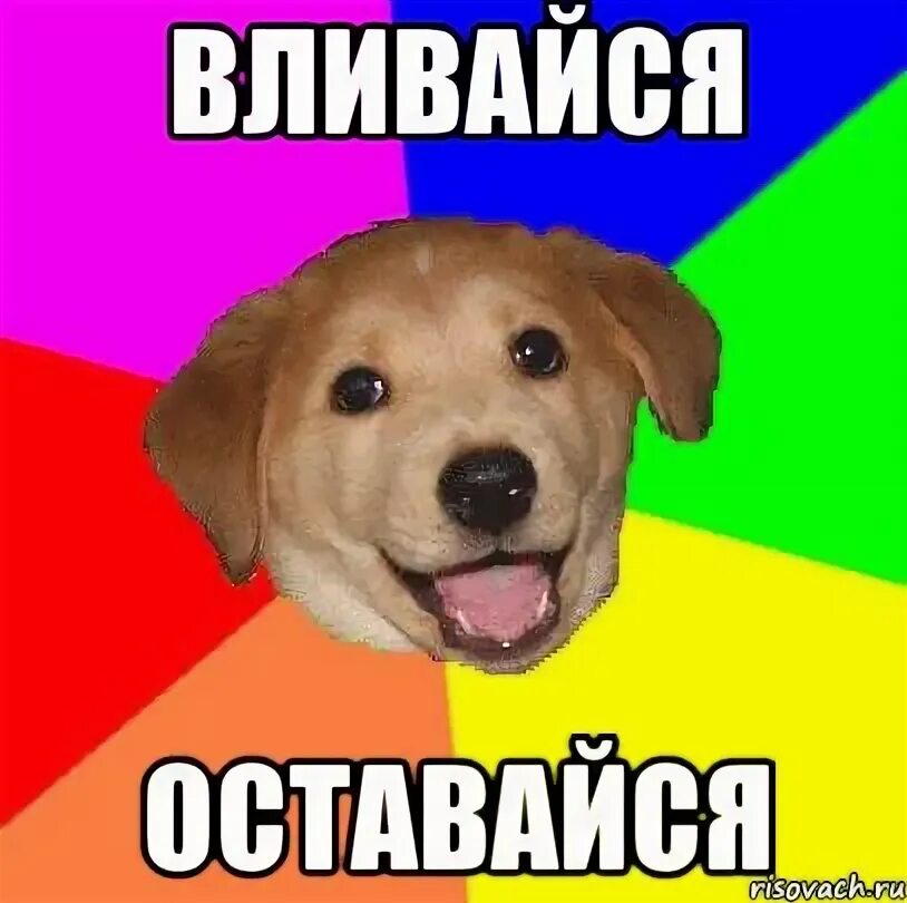 Котик наклонился понюхать. Кто сказал мяу гспд текст. Кот упал в обморок. Понюхал мем. Прикинуться шлангом.
