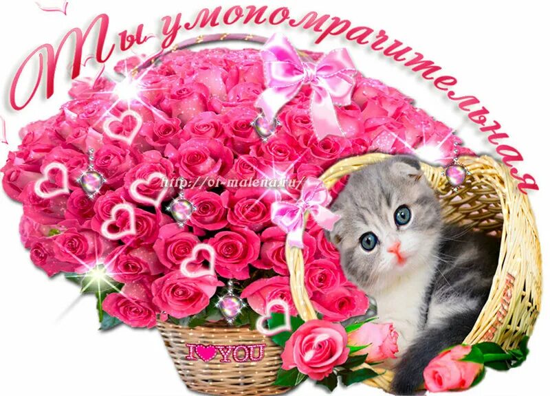 комплименты 2024. наташа сердечко. комплименты 2024. милашка. 1 марта день комплиментов.