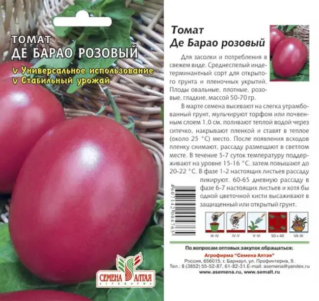 Помидоры де барао розовый. Томат де Барао розовый семена Алтая. Семена помидор де Барао розовый. Семена томат де Барао розовый. Томат де Барао розовый.