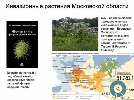 Карта борщевика сосновского