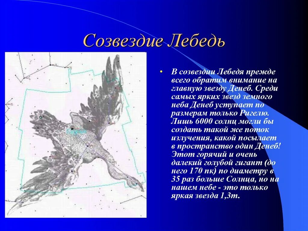 Сказка о созвездиях весеннего неба короткая. Рассказ о созвездии. Созвездие лебедь. Рассказ о созвездии осеннего неба. Рассказать об одном созвездии.