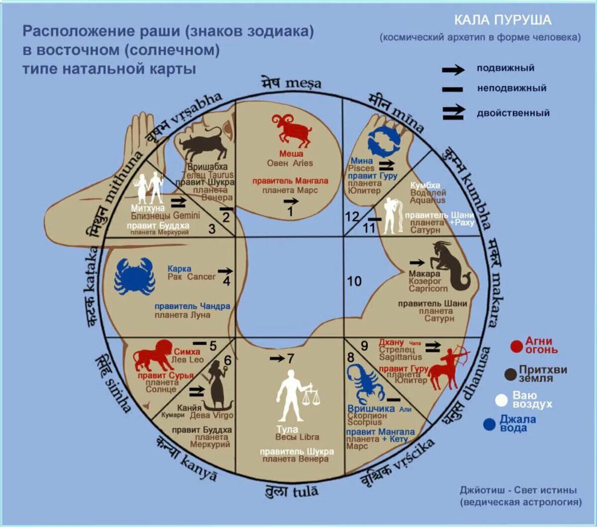 Знаки зодиака какой дом. Астрологическая карта тела. Ведическая астрология карта. Ведическая натальная карта. Знаки домов в астрологии.