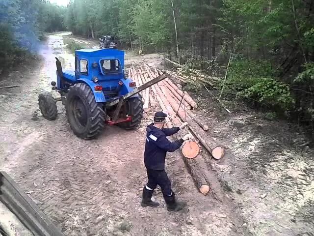 Трактор т-40. Для. Леса. Трелевка леса на т 40. Т 40 лесовоз трактор. Погрузка леса т 40.