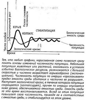 Кризис течения