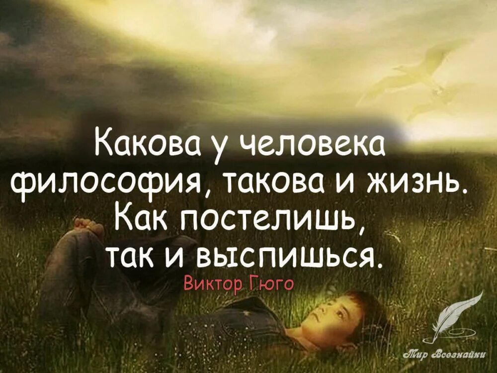 Читать умные мысли. Мудрые высказывания. умные фразы. умные высказывания. умные цитаты.