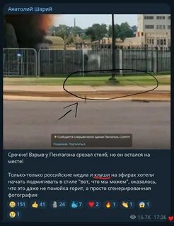 Шарий бахмут